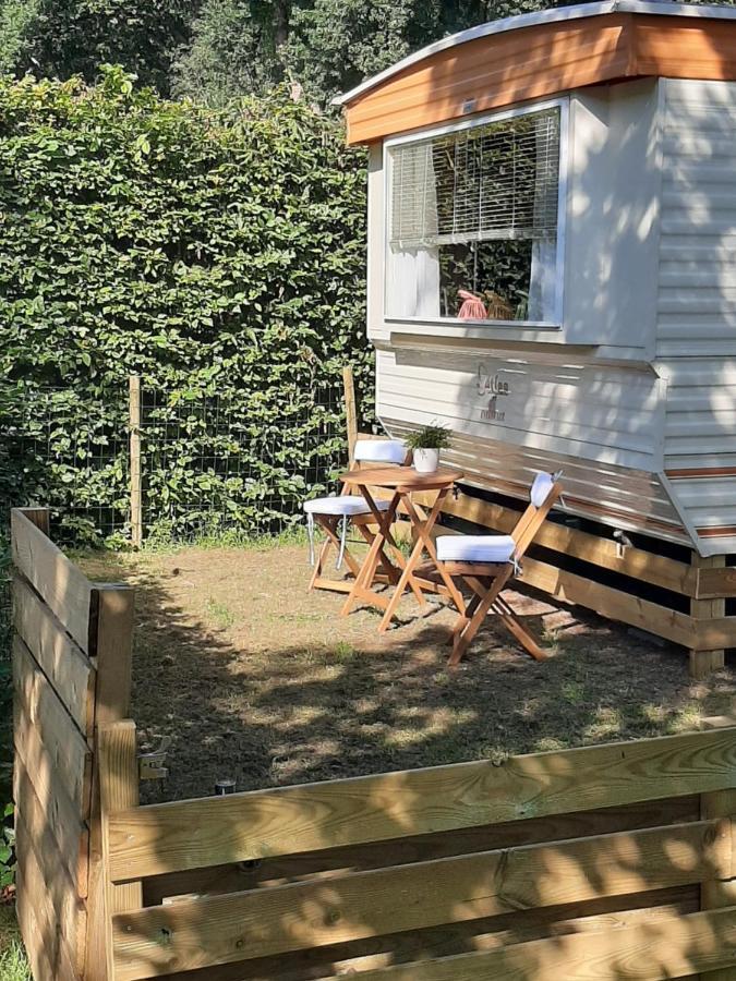 Caravan In Bosrijk Gebied Hotel Zuidlaren Bagian luar foto